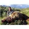 Image 1 : 10 Day - Alaskan Grizzly Hunt for 1 Hunter