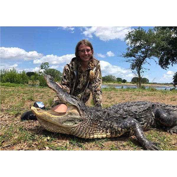 ALLIGATOR HUNT 10 FOOT GATOR IN FLORIDA
