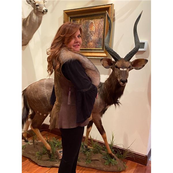 FUR VEST-LADIES LAMB VEST WITH FOX COLLAR