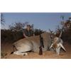 Image 2 : Namibia Six Day Trophy Eland Tracking Hunt