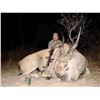 Image 3 : Namibia Six Day Trophy Eland Tracking Hunt