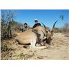 Image 5 : Namibia Six Day Trophy Eland Tracking Hunt