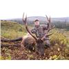 Image 4 : Raspberry and Afognak Island Roosevelt Elk Special Permit