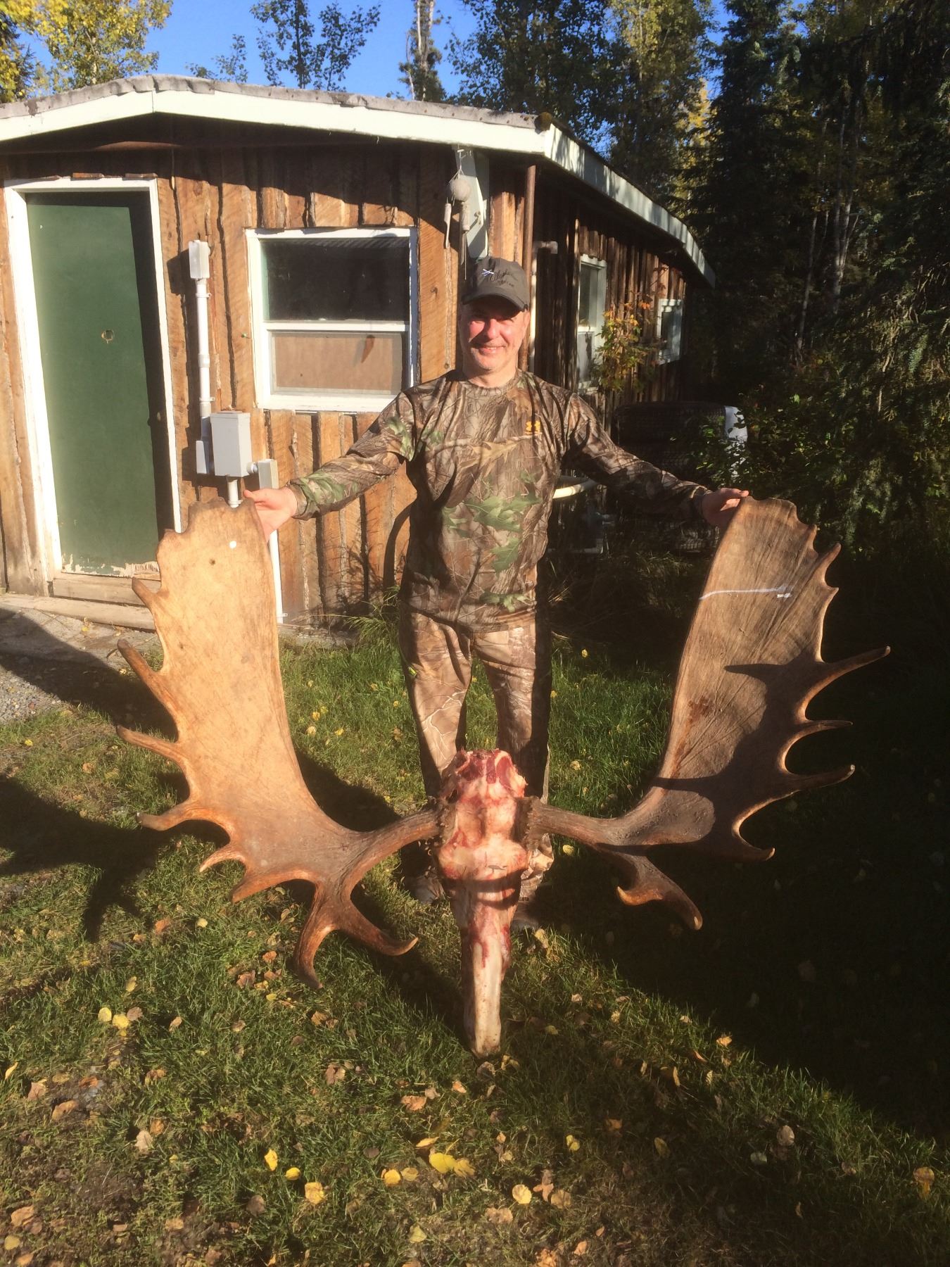 Alaska Unit 16B Any Bull Moose Special Permit