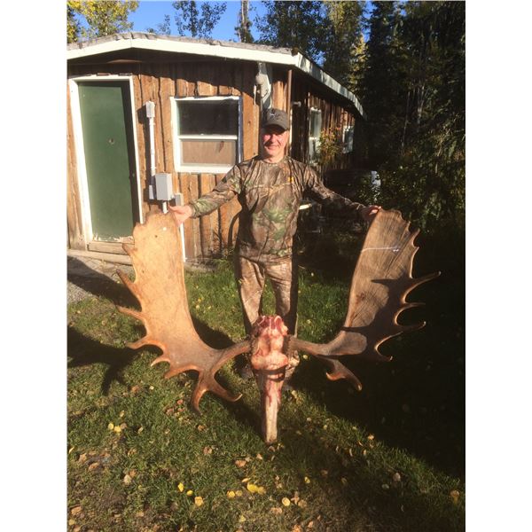 Alaska Unit 16B Any Bull Moose Special Permit