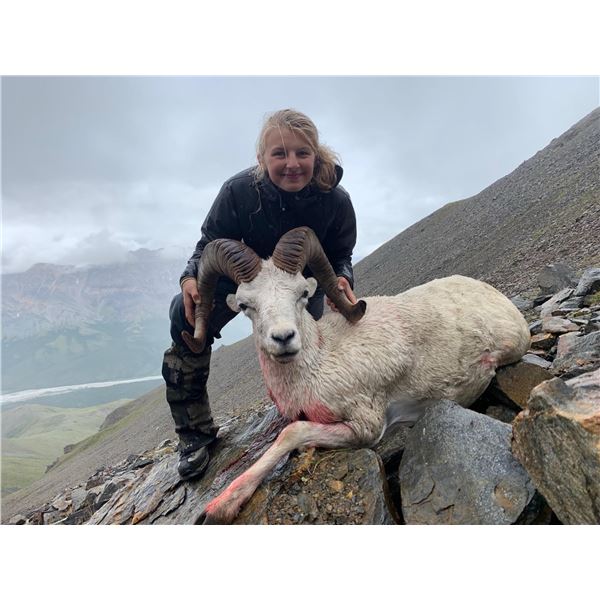 Five Day Guided Youth Dall Sheep Hunt in Alaska