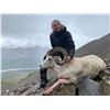 Image 2 : Five Day Guided Youth Dall Sheep Hunt in Alaska