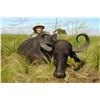 Image 2 : 5-Day Argentina Red Stag or Water Buffalo Hunt for One Hunter