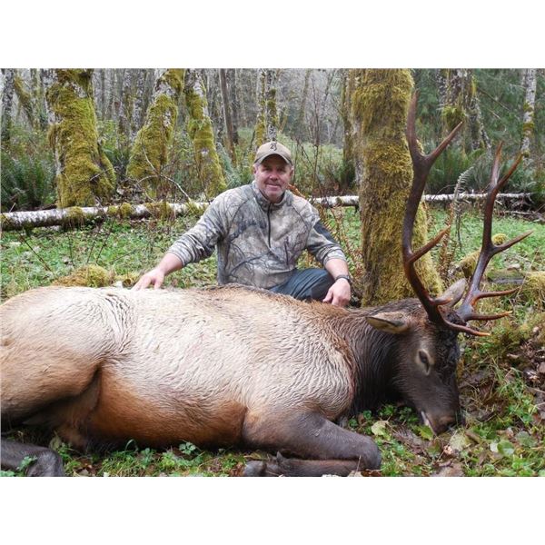 7-Day Washington Roosevelt Elk Hunt for One Hunter & One Observer
