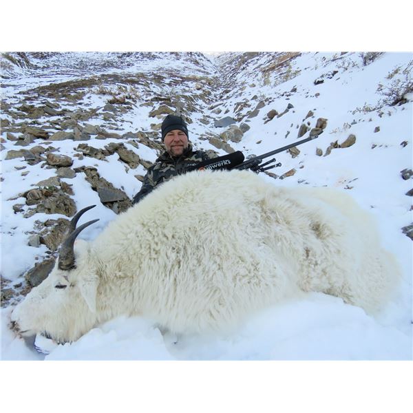 10-Day British Columbia Mountain Goat Hunt