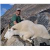 Image 2 : 10-Day British Columbia Mountain Goat Hunt