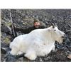 Image 3 : 10-Day British Columbia Mountain Goat Hunt