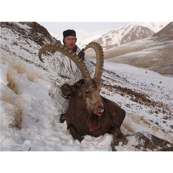 Seven Day Mid-Asian Ibex hunt for Two Hunters in Tajikistan