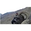 Image 3 : Seven Day Mid-Asian Ibex hunt for Two Hunters in Tajikistan