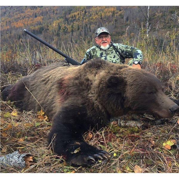 Alaska Brown Bear Special Permit Chugach State Park (SB470)