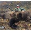 Image 1 : Alaska Brown Bear Special Permit Chugach State Park (SB470)
