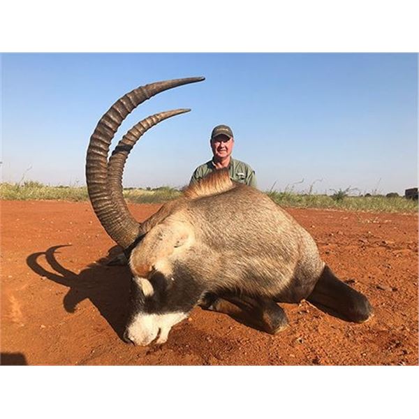 6-Day Roan Antelope Hunt with Numzaan Safaris