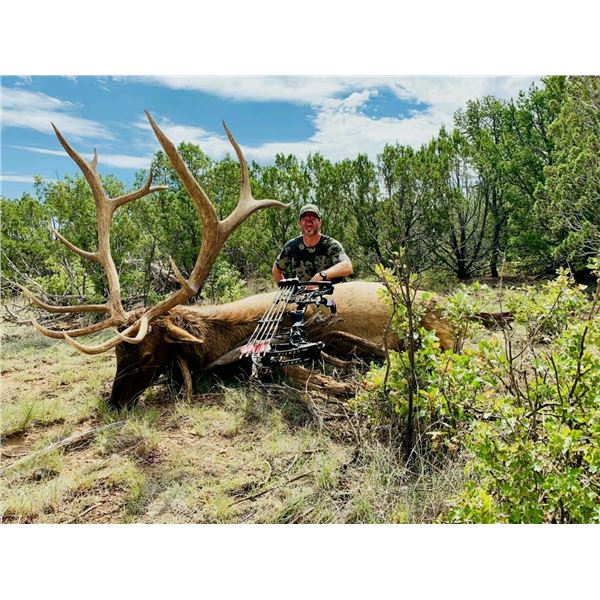 5-Day New Mexico Archery Elk Hunt for Two Hunters