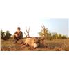 Image 2 : New Mexico 5-Day Rifle Mule Deer Hunt for Two Hunters