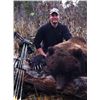 Image 1 : Alaska Archery Brown Bear Special Permit GMU 14C Eklutna Lake Management Area (SB468)