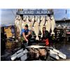 Image 2 : Alaska 6-Night/3-Fishing Charter Trip for Four Anglers