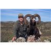 Image 1 : Four Day Red Stag or Mouflon Sheep Hunt in Spain