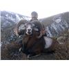 Image 2 : Four Day Red Stag or Mouflon Sheep Hunt in Spain