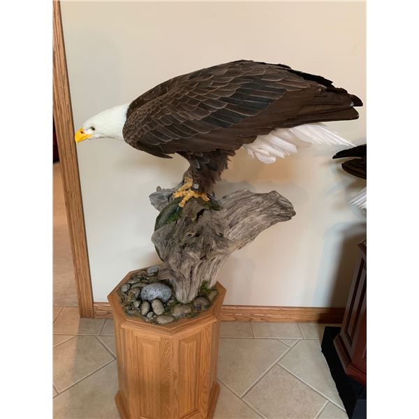 American Bald Eagle by Artist Jim Day