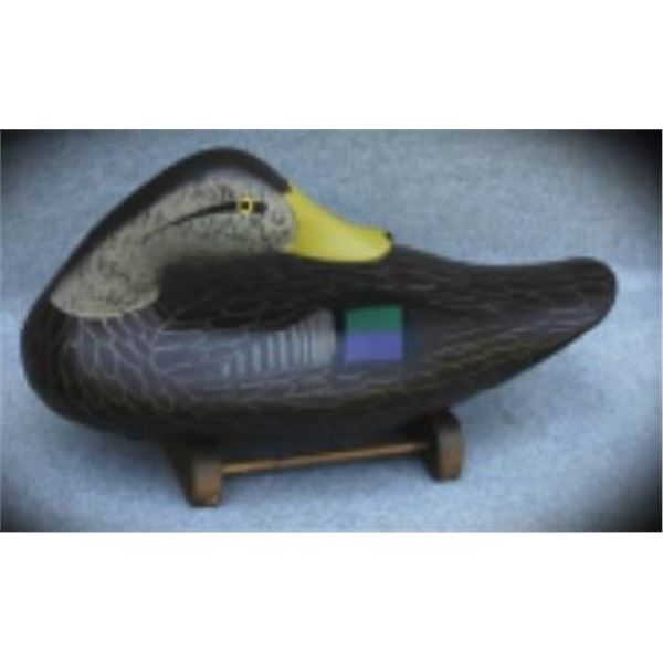 Premier Grade Preening Black Duck Drake By Charles Jobes