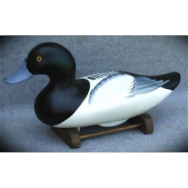 Premier Grade Bluebill Drake By Charles Jobes