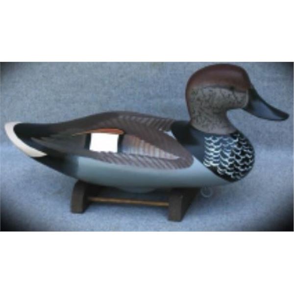 Premier Grade Gadwall Drake By Charles Jobes