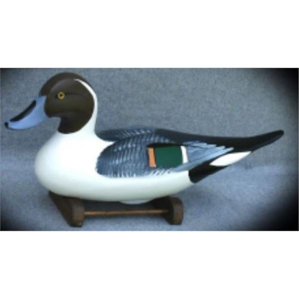 Premier Grade Pintail Drake By Charles Jobes