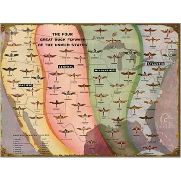 Flyways of the US metal Sign