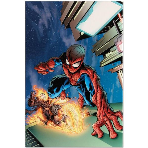 Marvel Comics  Timestorm 2009/2099 #4  Numbered Limited Edition Giclee on Canvas by Tom Raney with C