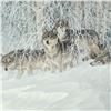 Image 2 : Larry Fanning (1938-2014), "Winter's Lace - Gray Wolves" Limited Edition Lithograph from an AP Editi