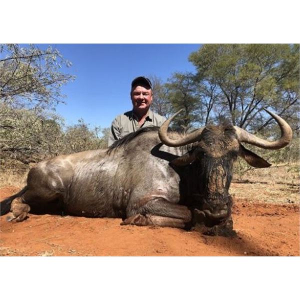7 Day Hunt, for 2 hunters, in South Africa, Limpopo Province with Numzaan Safaris: $7,100 Value!