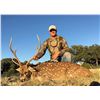Image 1 : $1000 Gift Card to Lone Oak Adventures