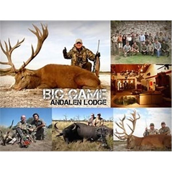 Argentine Blackbuck, Dorset Ram, and Wild Boar for 3 Hunters with Catena Safaris Argentina