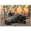 Image 1 : CABASSA SAFARIS: 10-Day Plains Game Safari for Four Hunters in Mozambique - Includes Trophy Fees