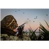 Image 1 : POINTER OUTFITTERS: 4-Day/4-Night Duck and Perdiz Hunt for Four Hunters in Argentina