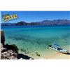 Image 1 : MEXICO HUNTS: 4-Day/3-Night El Carmen Island Fishing Adventure for Four Anglers in Mexico