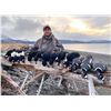 Image 1 : MIKE ODIN: 5-Day/5-Night Sitka Black-Tailed Deer and Trophy Sea Duck Combo Hunt for One Hunter on Ko