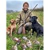 Image 1 : SCANDINAVIAN PROHUNTERS: 5-Day Sweden-Denmark Wingshooting and Sightseeing Adventure for One Hunter