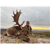 Image 1 : SAFARI INTL: 5-Day Fallow Deer Hunt for One Hunter and One Non-Hunter in Macedonia - Includes Trophy