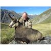 Image 1 : SOUTH PACIFIC SAFARIS: 5-Day Big Game Hunt for Three Hunters in New Zealand - Includes Trophy Fees