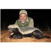Image 1 : THABA MMOYO: 7-Day Small Predator and Plains Game Safari for One Hunter and One Non-Hunter in South