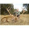 Image 1 : EUROHUNTS: 4-Day Iberian Red Stag Hunt for Two Hunters and Two Non-Hunters in Spain - Includes Troph