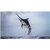 Image 1 : TROPIC STAR LODGE: 6-Day/7-Night Fishing Adventure for Two Anglers in Panama