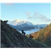 Image 1 : HUNTING IN AUSTRIA: 5-Day European Mouflon Hunt for Two Hunters and Two Non-Hunters in Austria - Inc