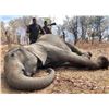 Image 1 : HUNTERS CREEK: 5-Day Tuskless Elephant Hunt for One Hunter in Zambia - Includes Trophy Fee
